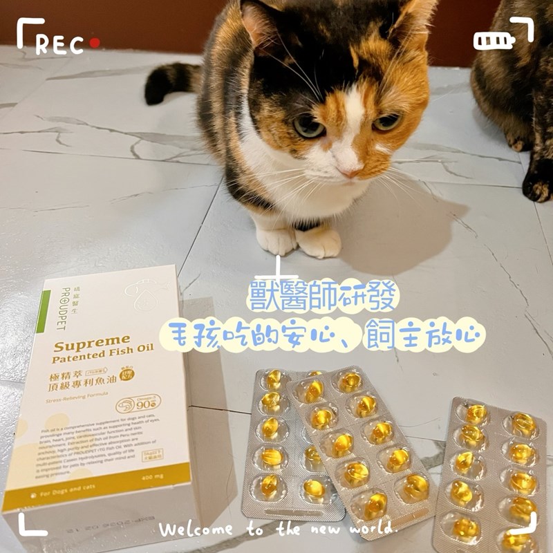 試用